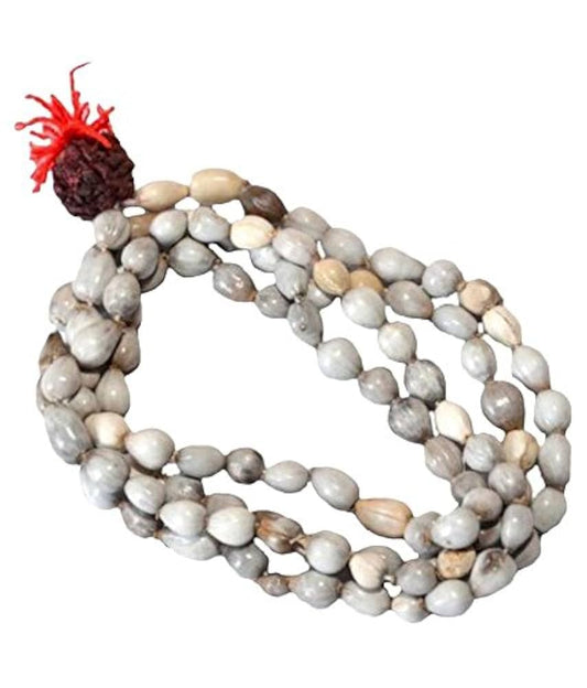 Vaijanti 5 mukhi Rudraksh Mala