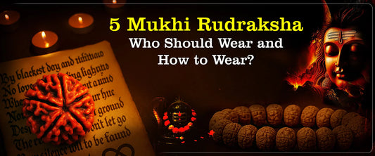 Why Wearing a 5 Mukhi Rudraksha is Important: Spiritual and Scientific Insights
